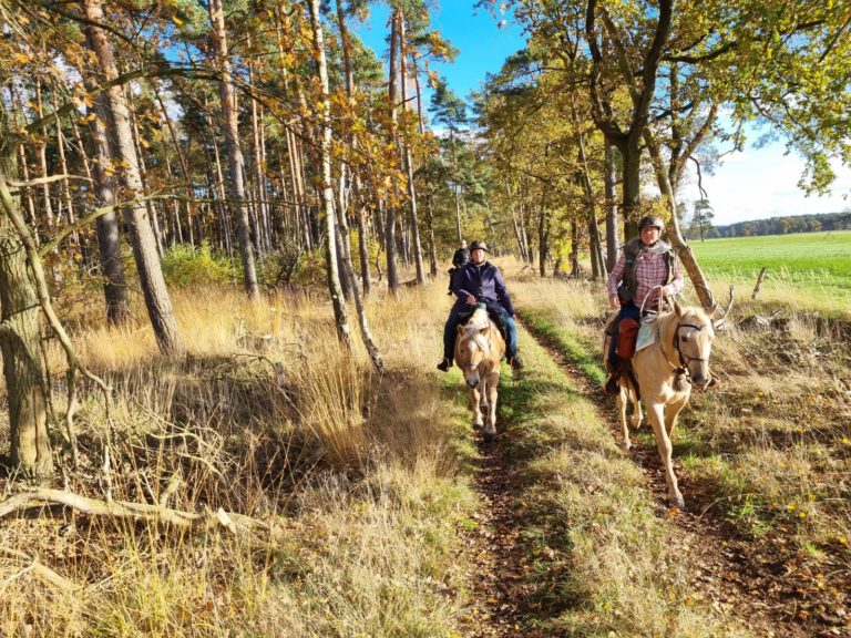 Luxus der Leere – genieße die Altmark im Herbstlicht!