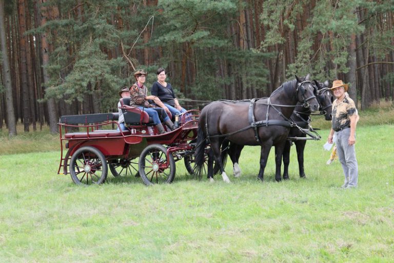 Reiter- & Fahrerlager 2025 – jetzt anmelden!