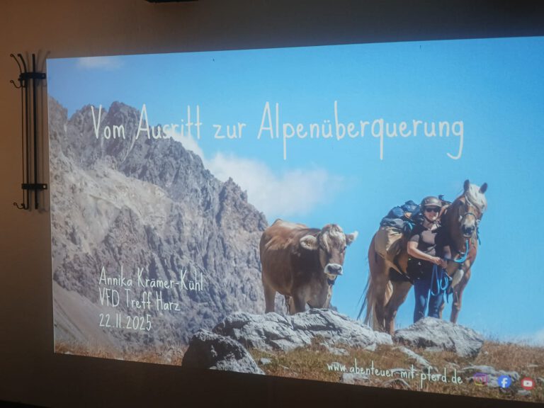 Neuer VFD Treff im Harz