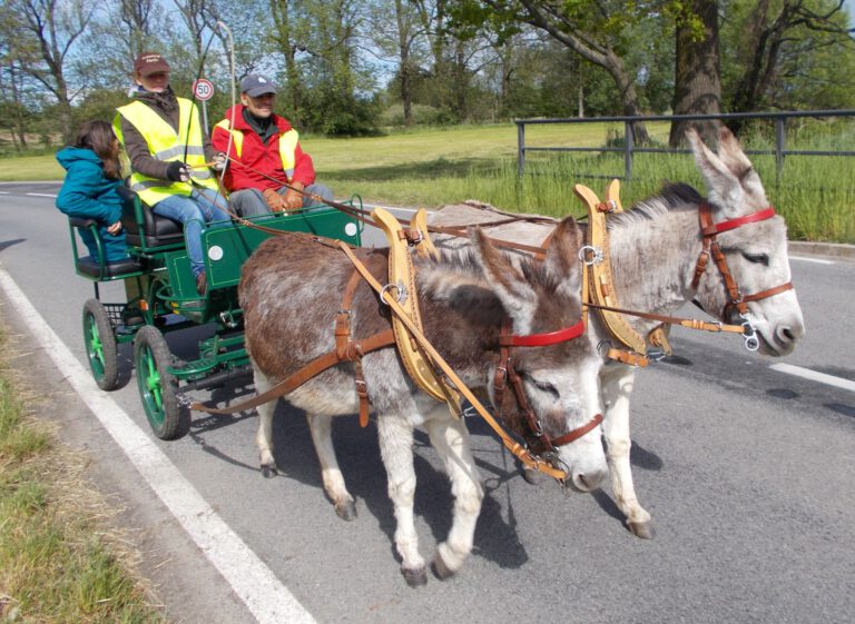 Bundesjugendcamp 2026 in Ziemendorf