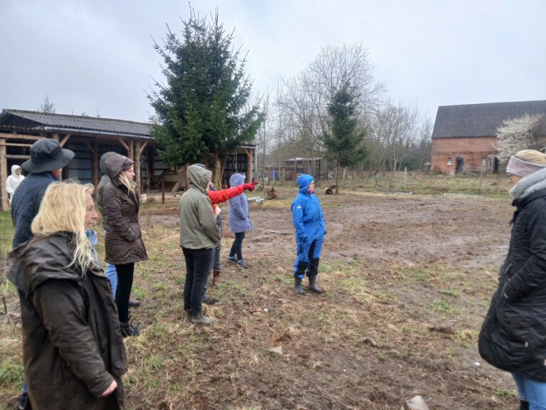 Der Weg zum Paddockparadies oder How to Trail…