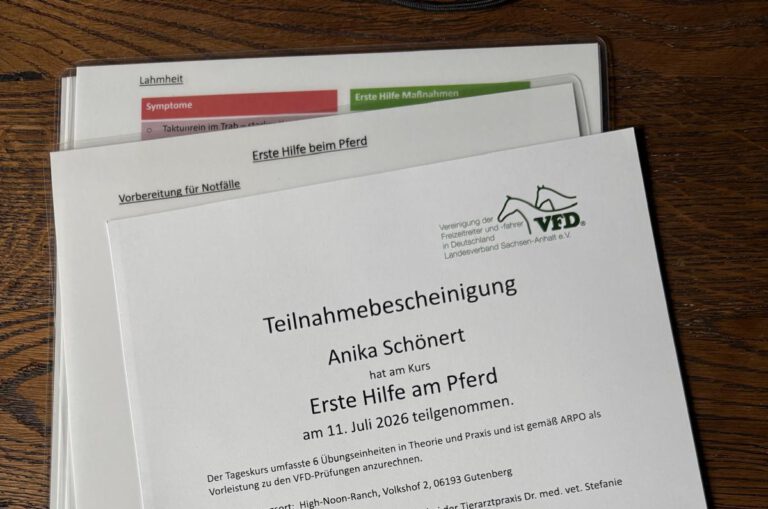 Gelungener Erste-Hilfe-Kurs für Pferde der VFD Sachsen-Anhalt e.V.